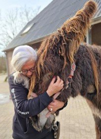 Jacq met DIVA