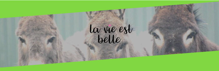 LaVieEstBelle Radio